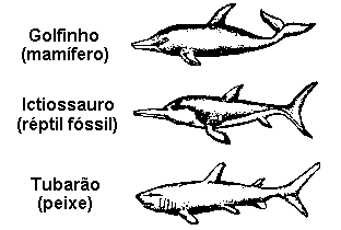 Golfinho, ictiossauro e peixe